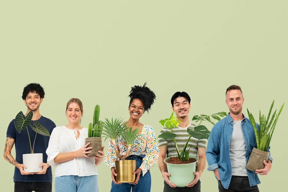 5 Plantas que Melhoram a Qualidade do Ar da sua Casa 1 Plantas para ter em casa