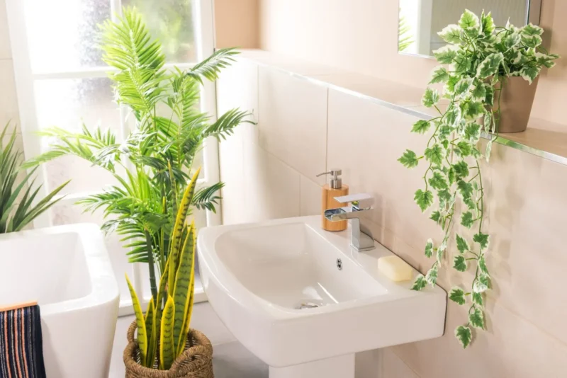 Feng Shui para iniciantes: afaste as energias negativas e atraia a prosperidade 3 Banheiro com Feng Shui