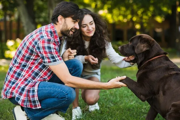 Plano de Saúde para Pets: Vale a Pena? Benefícios e Dicas 1 Casal com cachorro