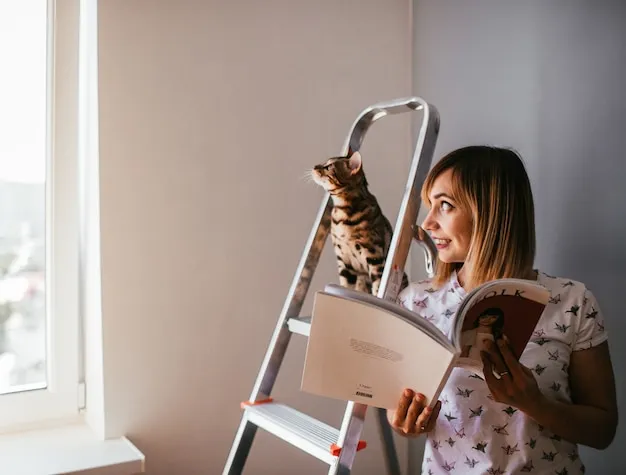 Por que os gatos gostam de lugares altos? 2 Gatos