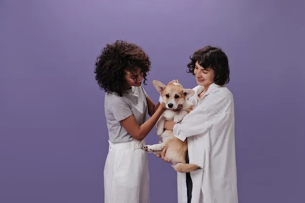 Plano de Saúde para Pets: Vale a Pena? Benefícios e Dicas 2 Pets e saúde