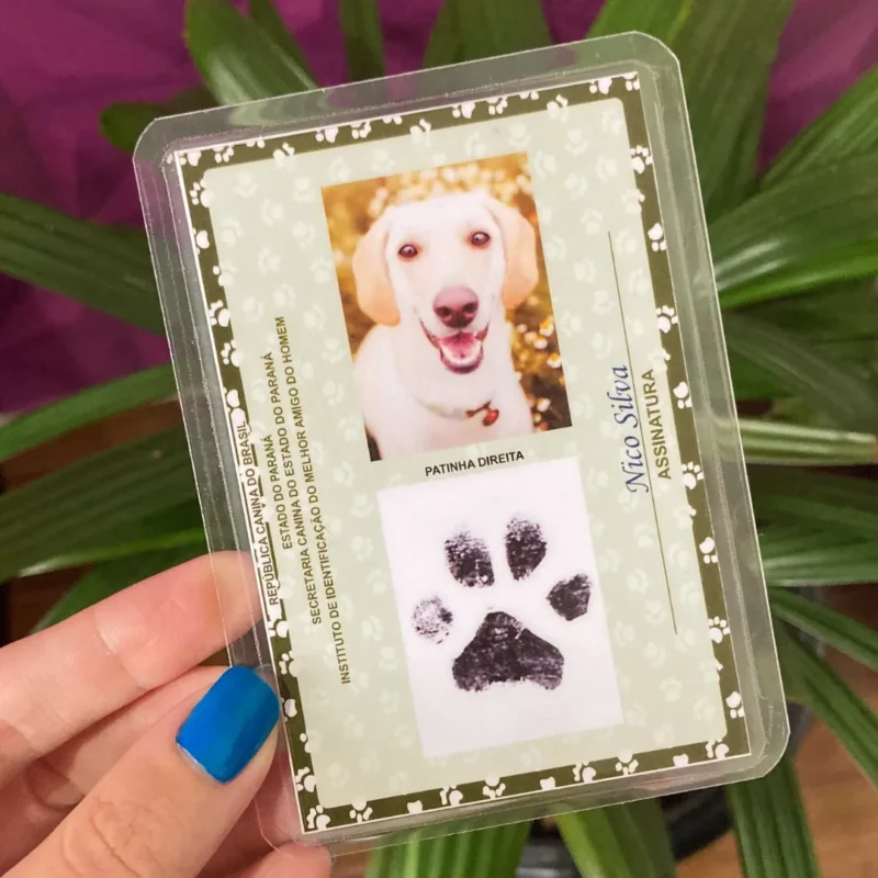Plano de Saúde para Pets: Vale a Pena? Benefícios e Dicas 4 RG pra Pet
