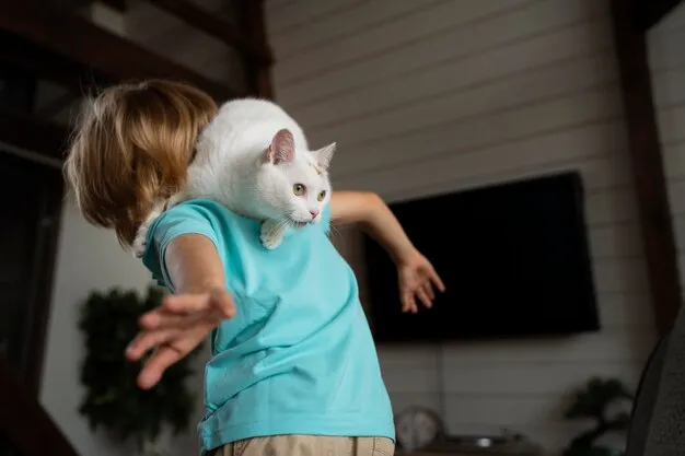 Por que os gatos gostam de lugares altos? 3 psicológico dos gatos