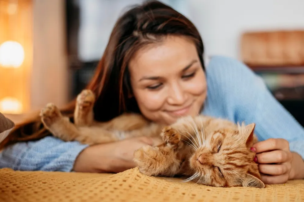 Por Que os Gatos Fazem Uma Reboladinha Antes de Atacar? O Segredo Felino Revelado! 4 Gatinhos