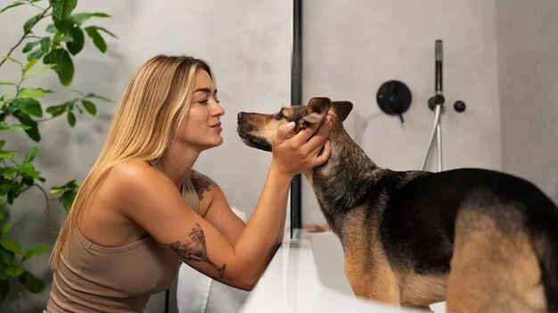 Observe animais de estimação