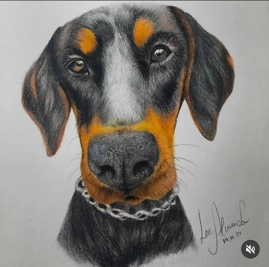 cachorro Doberman