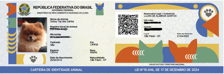 RG Animal: Tudo Sobre o SinPatinhas, o Documento Que Cuida do Seu Pet 3 RG Dobby