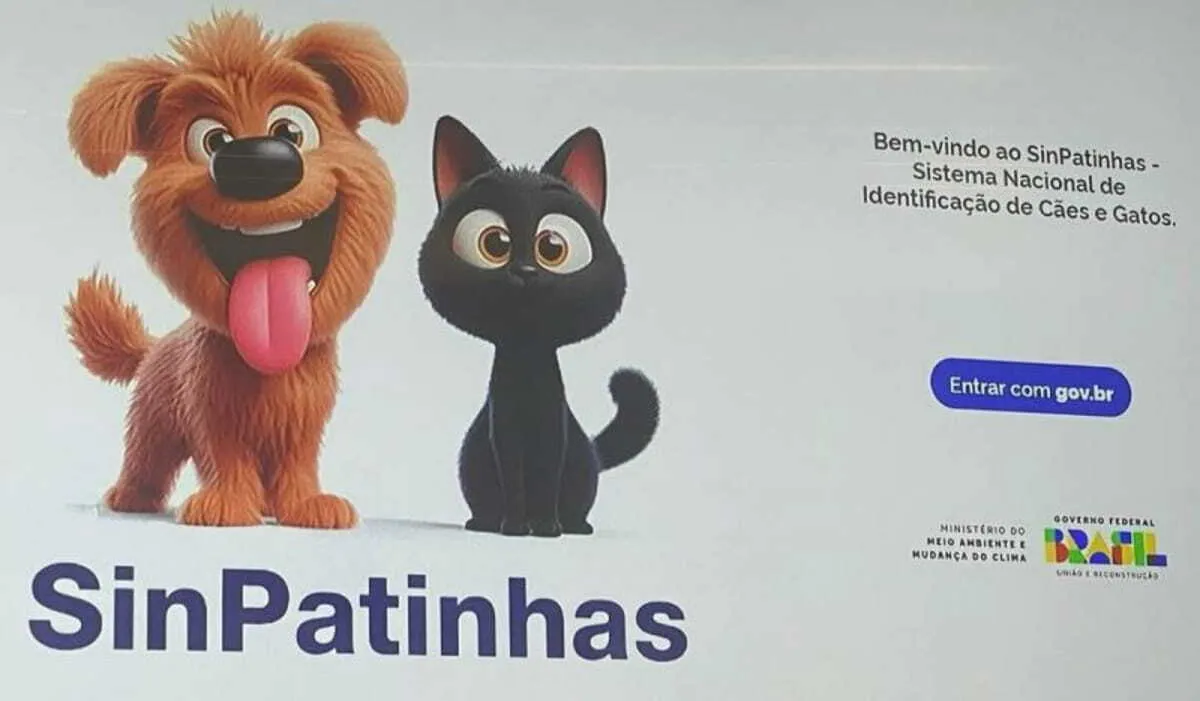 RG Animal: Tudo Sobre o SinPatinhas, o Documento Que Cuida do Seu Pet 1 Sin Patinhas