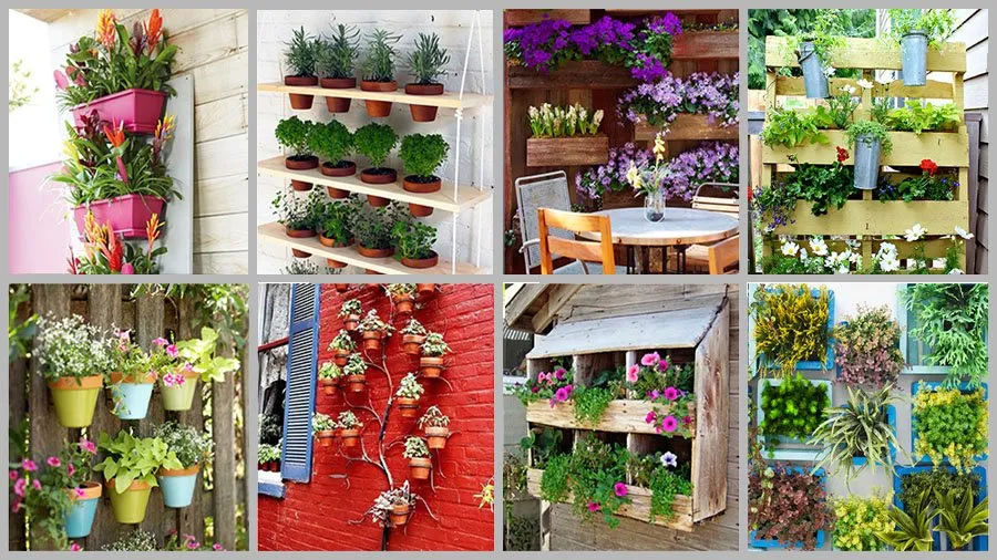 Jardim Vertical: Como Criar um Cantinho Verde em Casa Sem Gastar Muito