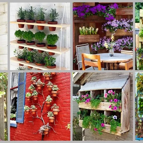 Jardim Vertical: Como Criar um Cantinho Verde em Casa Sem Gastar Muito