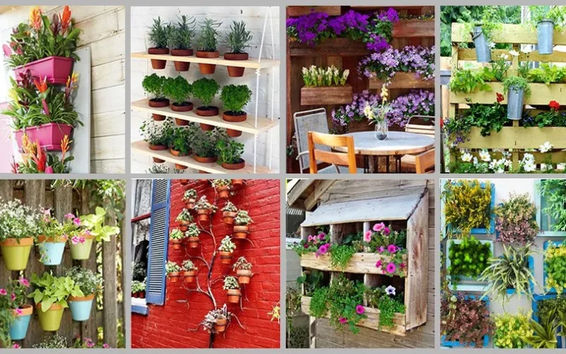 Jardim Vertical: Como Criar um Cantinho Verde em Casa Sem Gastar Muito